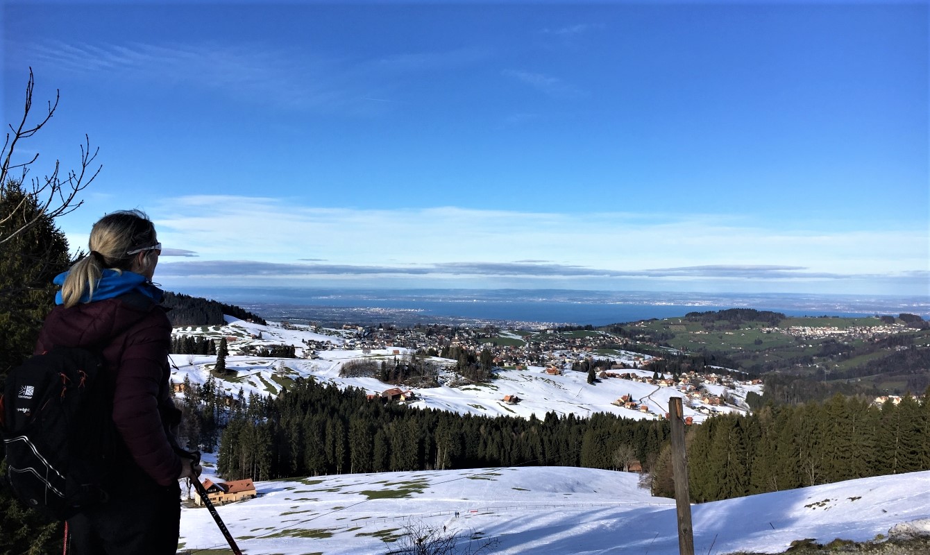 Appenzellerland with Lake Constance