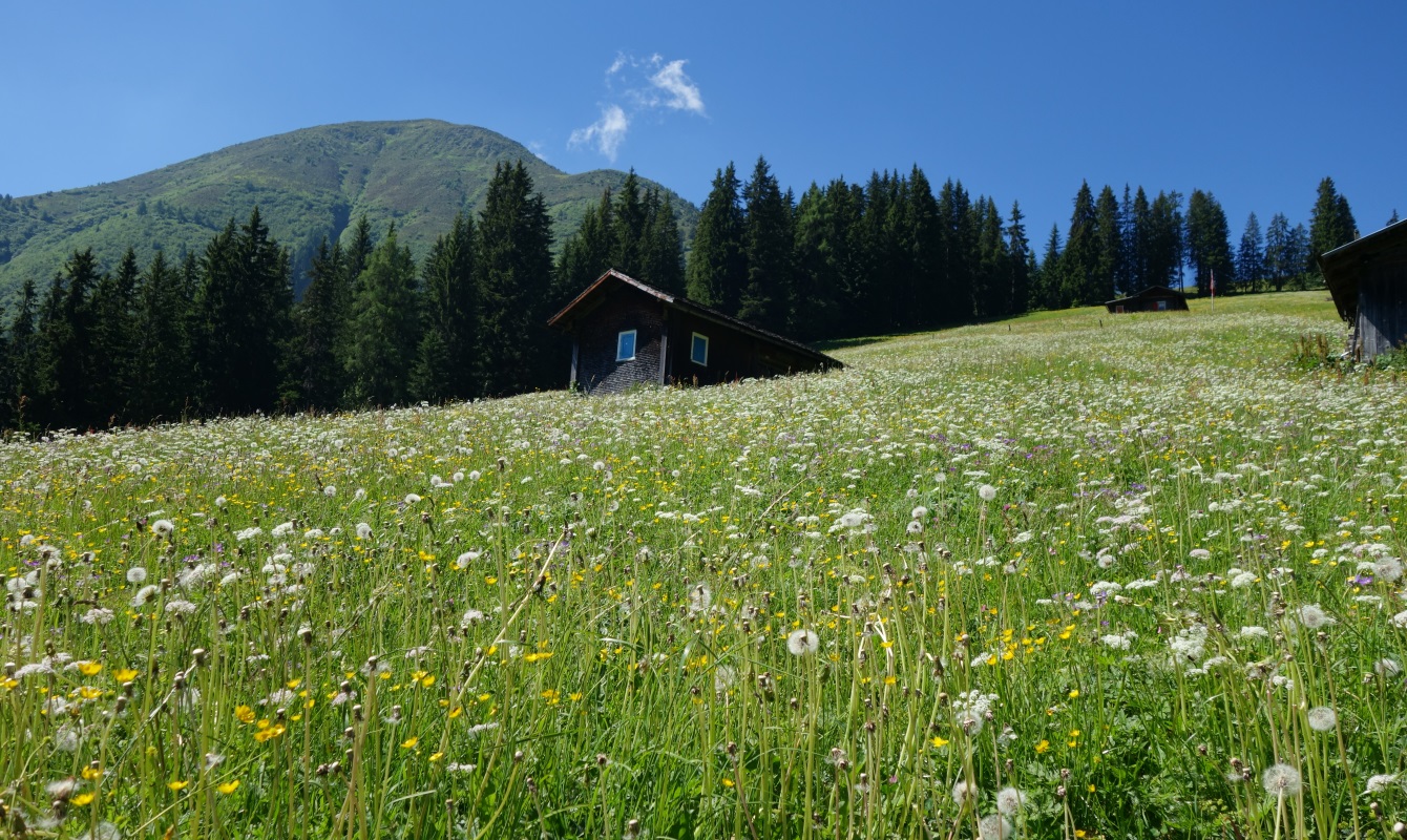 Views across the meadows above Tenna