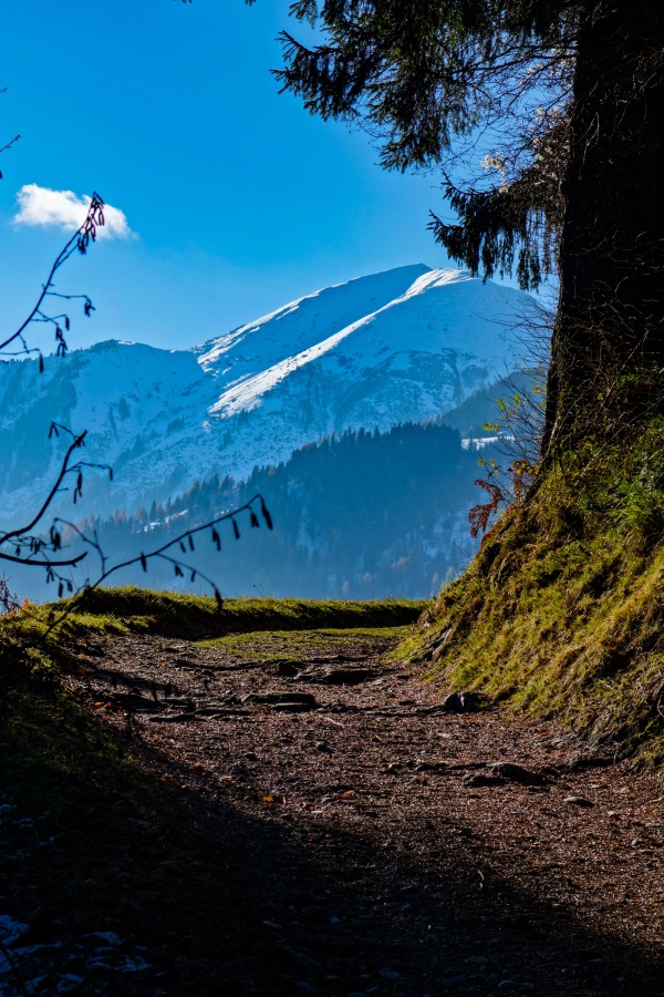 Easy walking above the Rheinschlucht