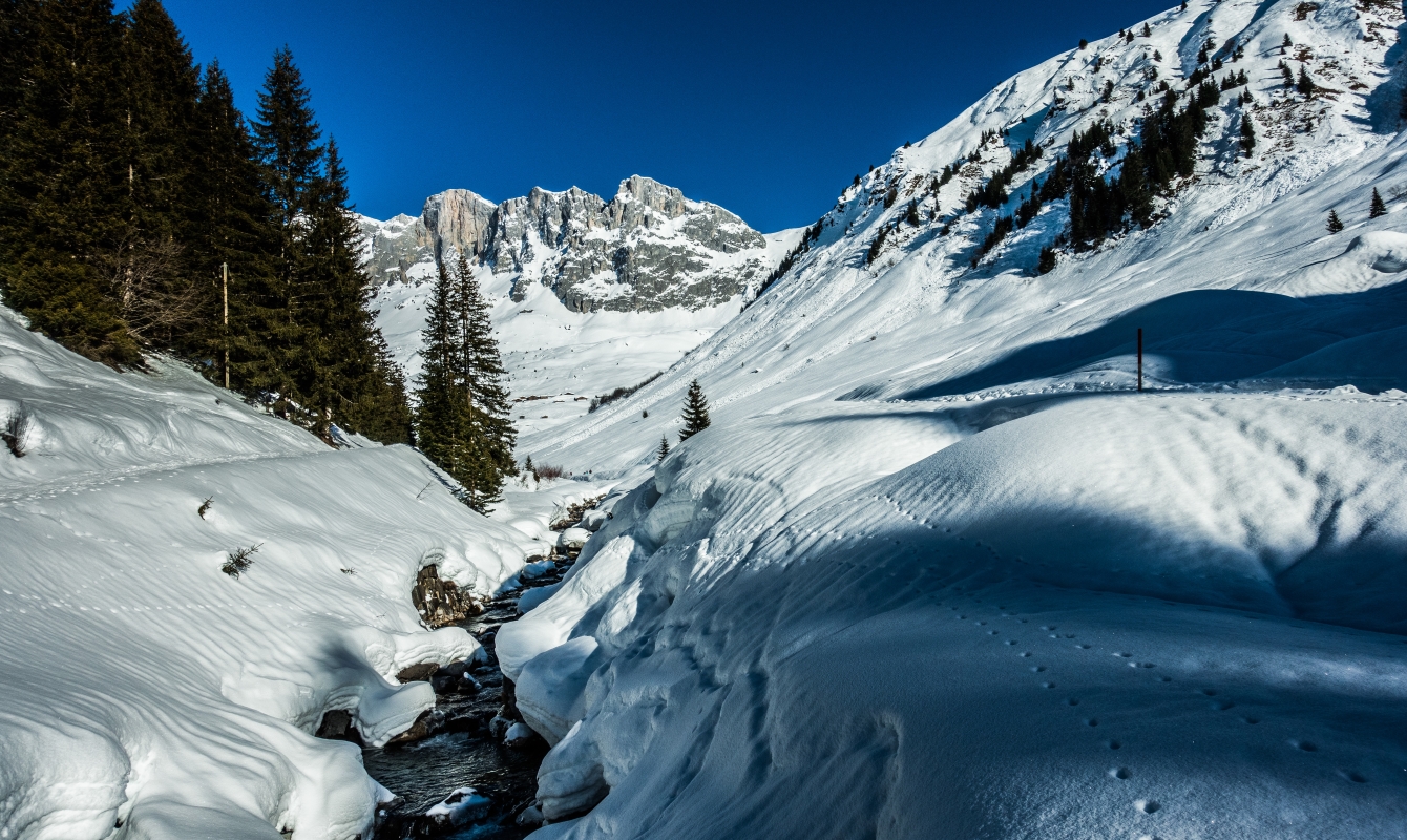 Looking towards the Wiss Platte and Shijenflue from Partnun