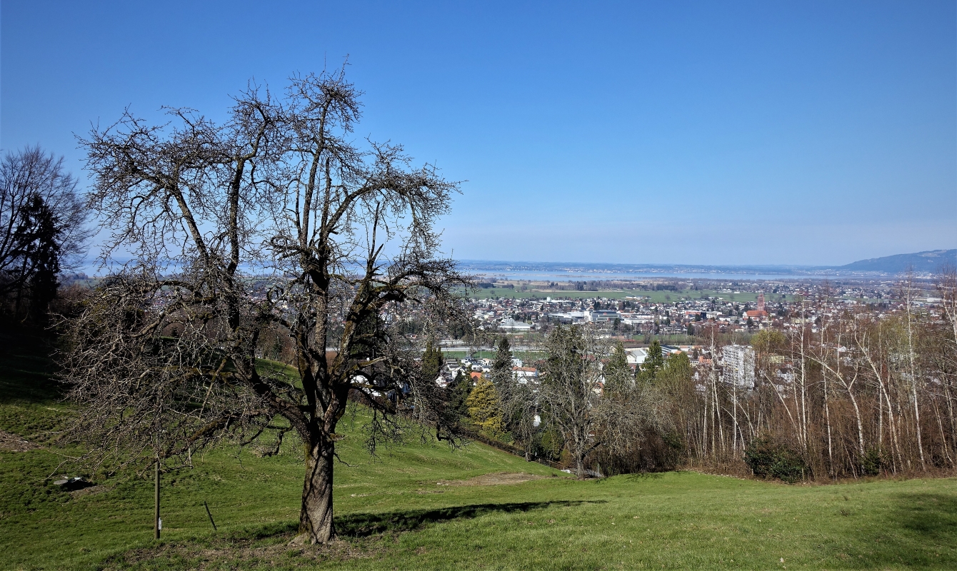 Views from the Rhine valley high path across Lake Constance