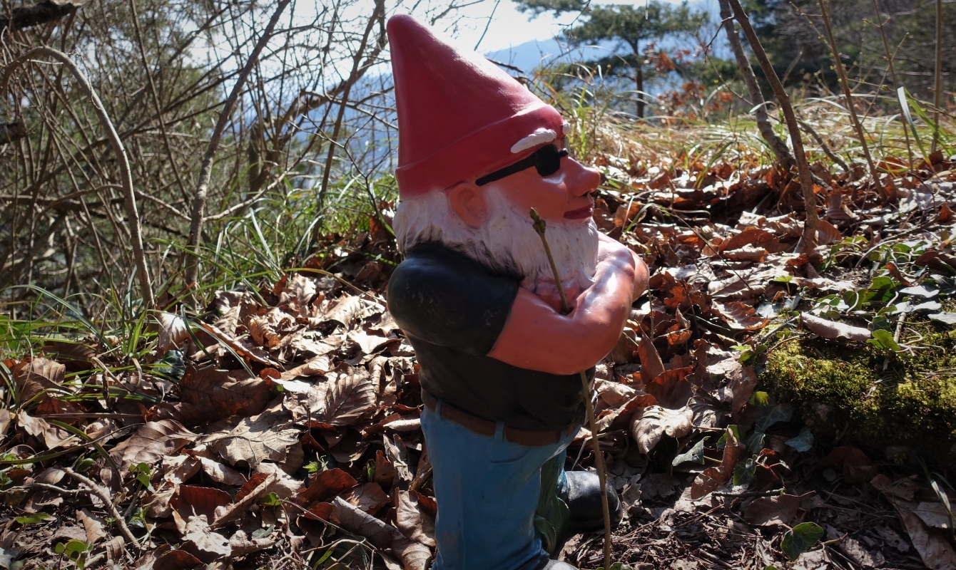 Gnome enjoying the arrival of spring