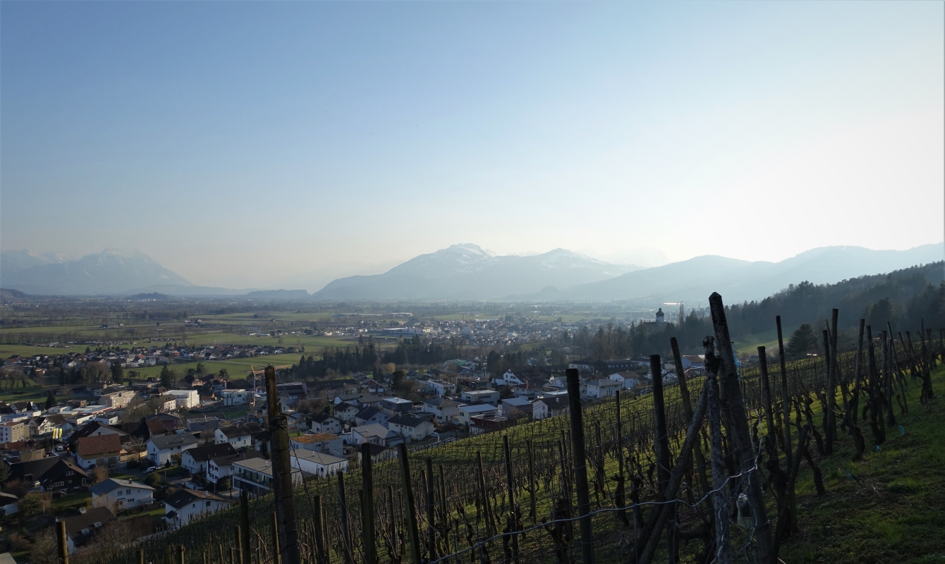 Views along the Rhine valley towards Saentis
