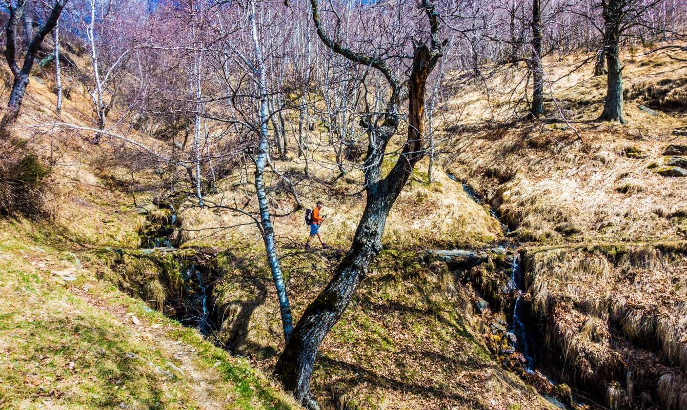 Numerous streams cross the hillside