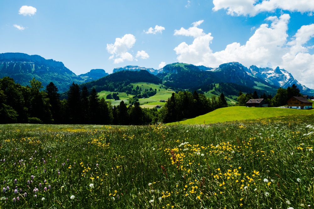 Weissbad – Appenzell – Weissbad