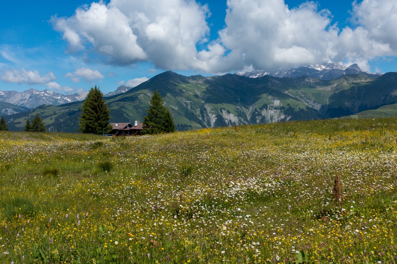 Berghaus zum See