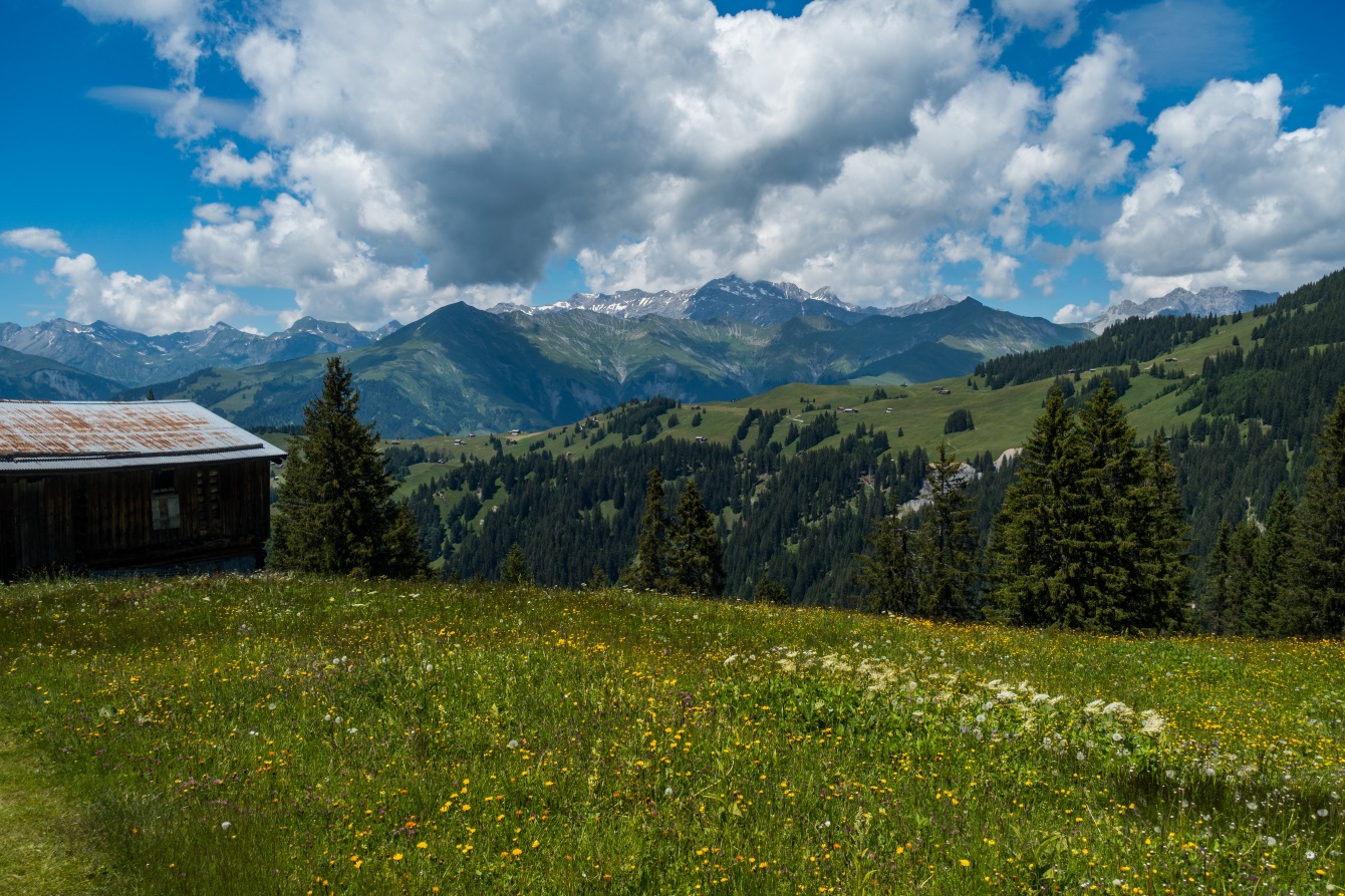 Views to the south, across Klosters