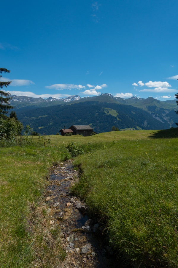 The alpine meadows above Pany