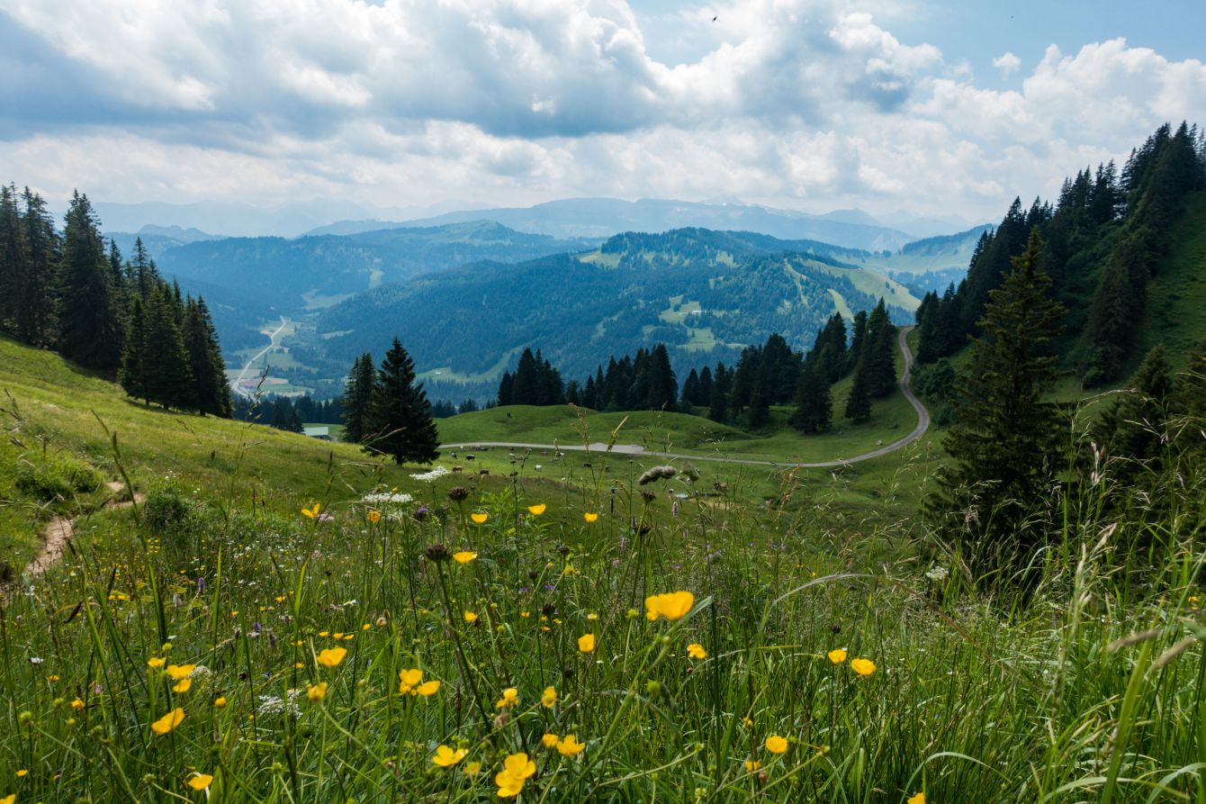 Above Balderschwang