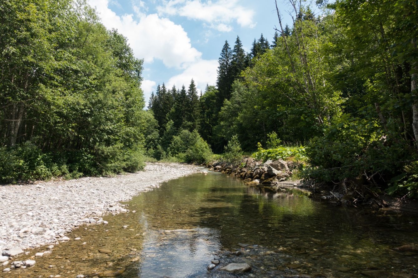 The river below Balderschwang