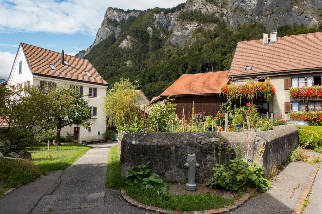 The village of Flaesch