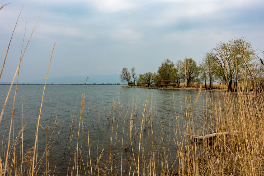 Views of the lake