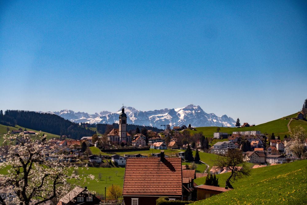 A view of Speicher and Alpstein