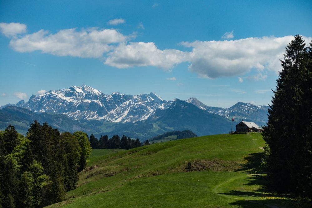 Ulisbach – Regelstein (1315m) – Tanzboden (1443m) – Ebnat-Kappel