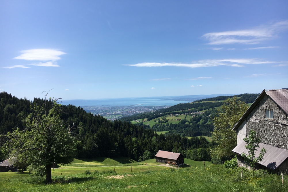 The first views of the Bodensee