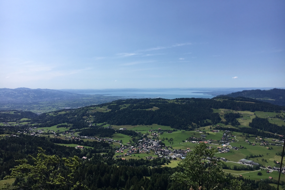 Views to the Bodensee from Brüggelekopf