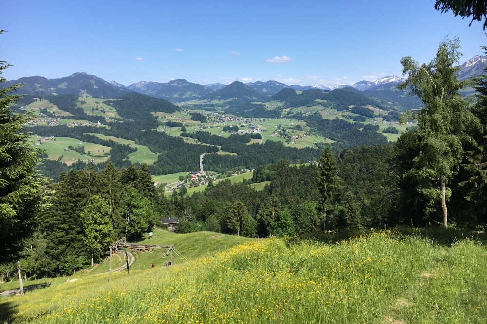 The final views when heading back to Alberschwende. 