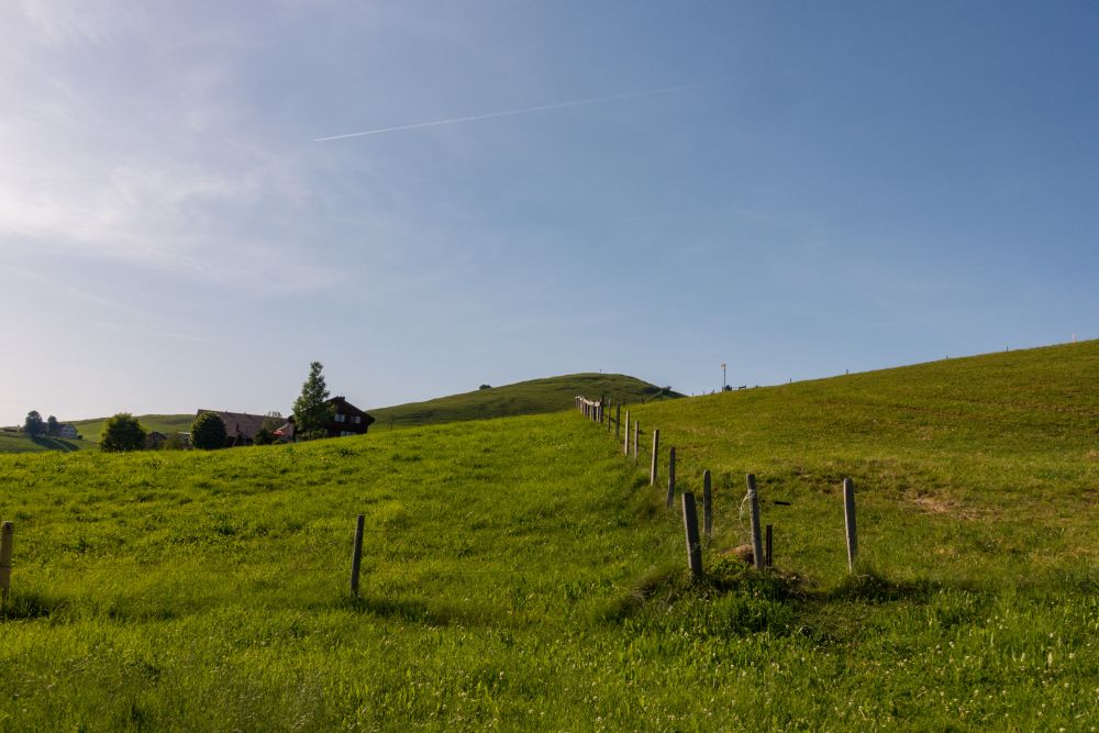 The path leads gently uphill through fields