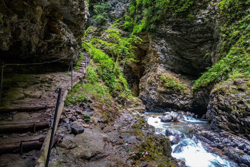 The path into the evil gorge