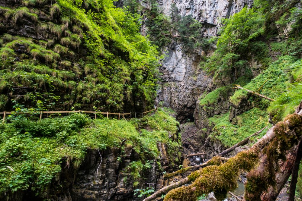 A look back into the Üble Schlucht gorge