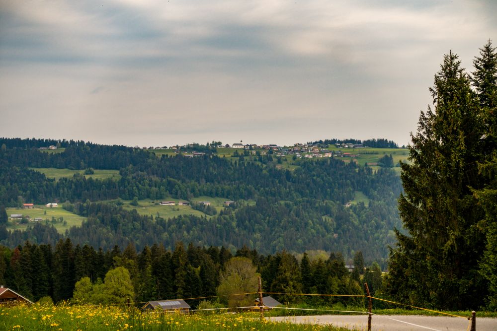 A view towards Sulzberg from Schweizberg