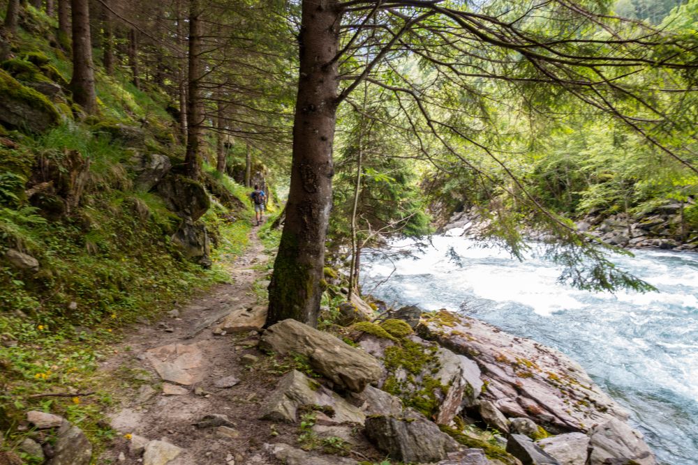 The path back to Arvigo leads through the woods, along the Calancasca river