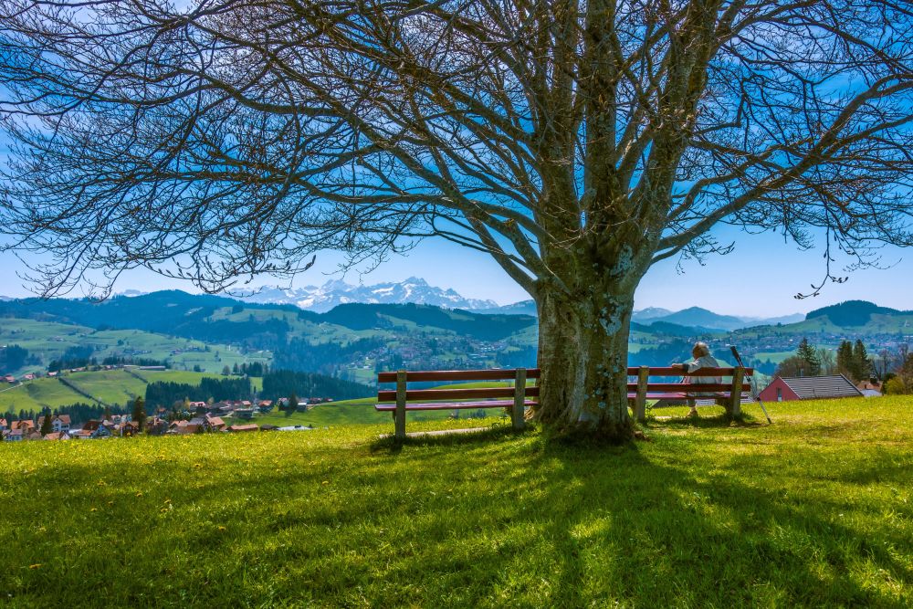 There are two benches above Rehetobel to relax on