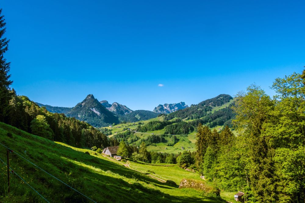 The views of Toggenburg