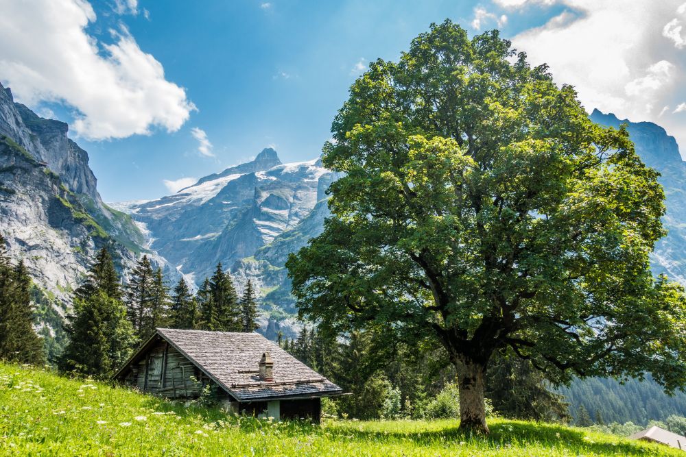 Meiringen – Grosse Scheidegg – Grindelwald
