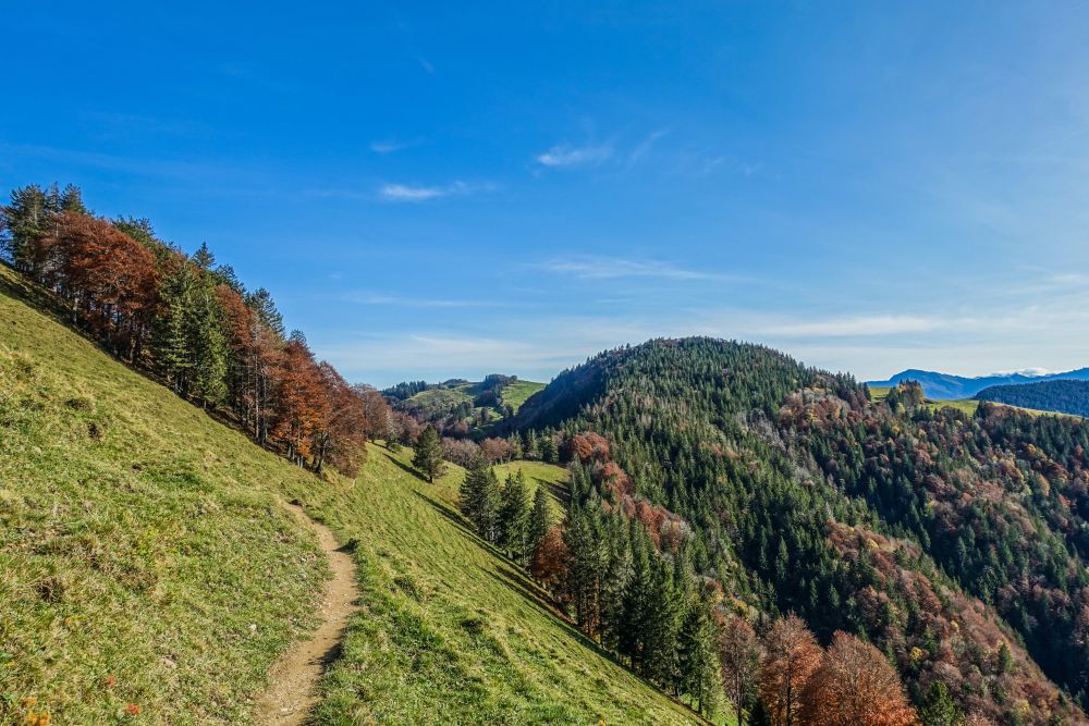 Along the slope past Ober Habrüti